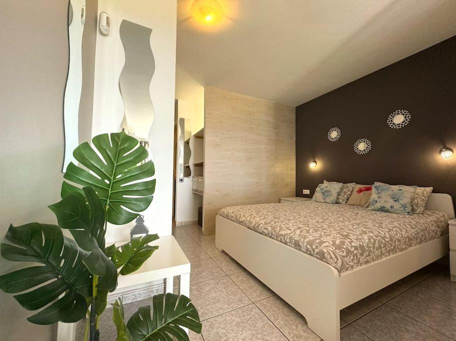 Palm Garden Apartamento Morro Jable (Fuerteventura)